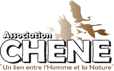 CHENE
