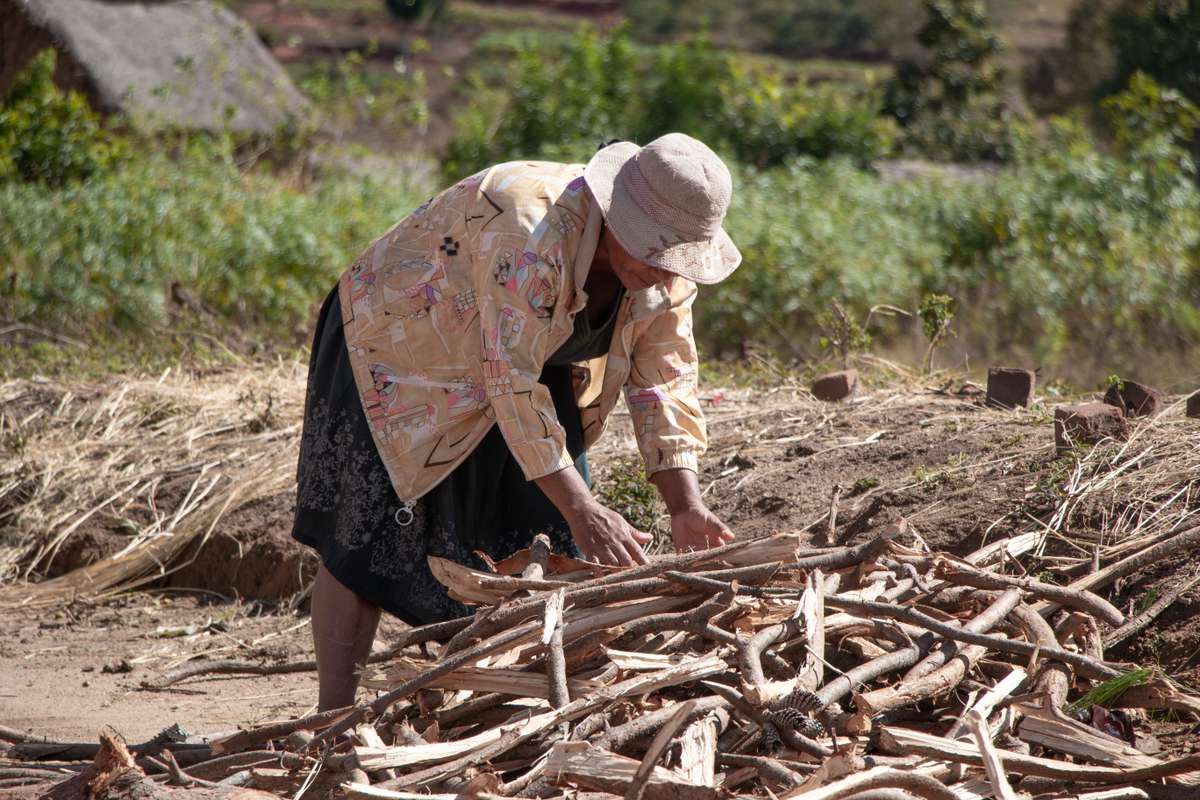 Accompagnons les communautés malgaches dans l'adaptation au changement climatique en plantant 9 000 arbres !