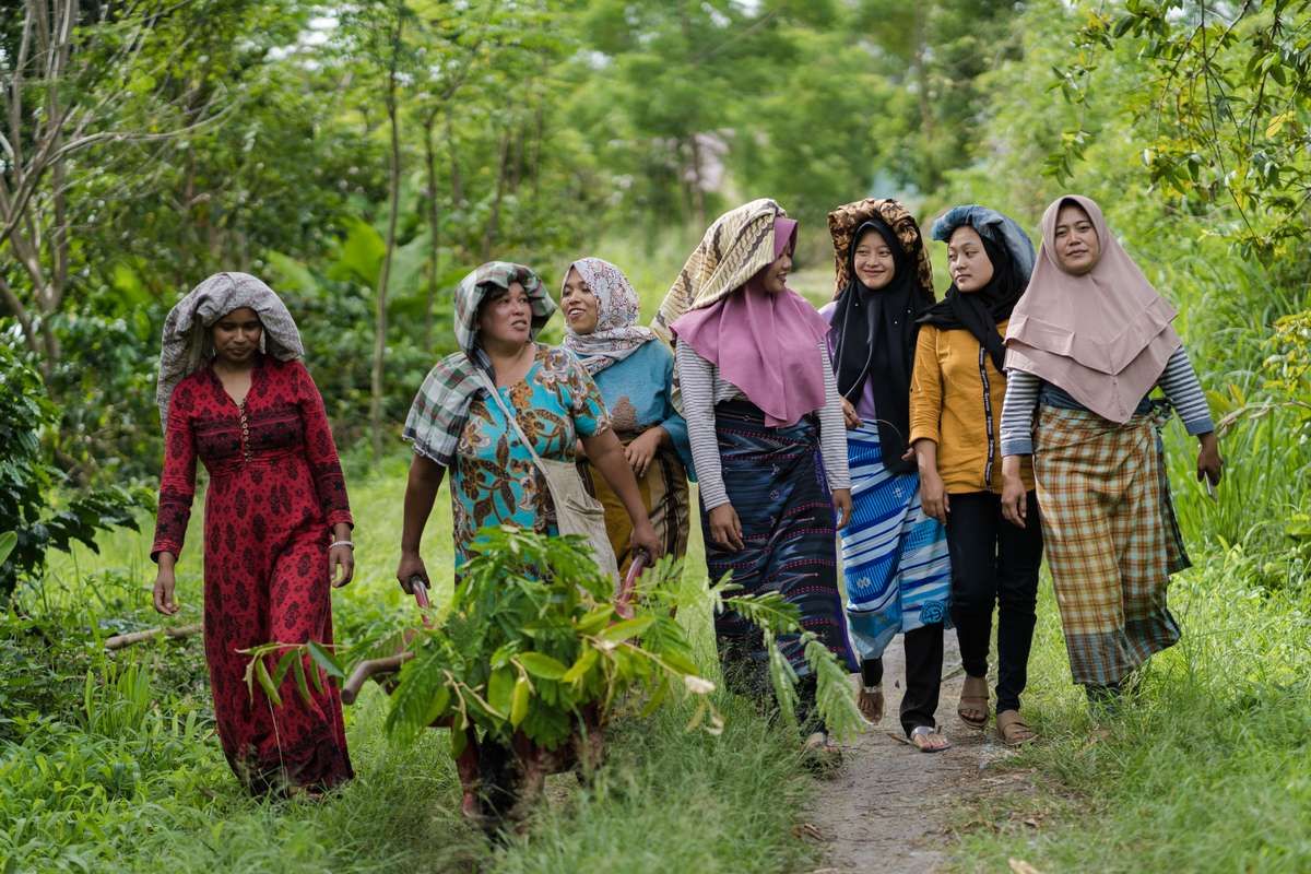 Plantons 3000 arbres pour soutenir les producteurs de café en Indonésie !