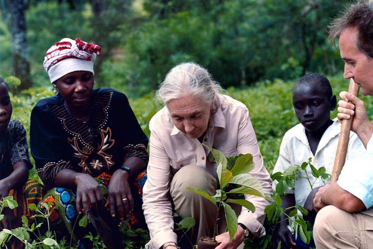 Permettons à des jeunes écoliers de planter 1 000 arbres en Tanzanie !