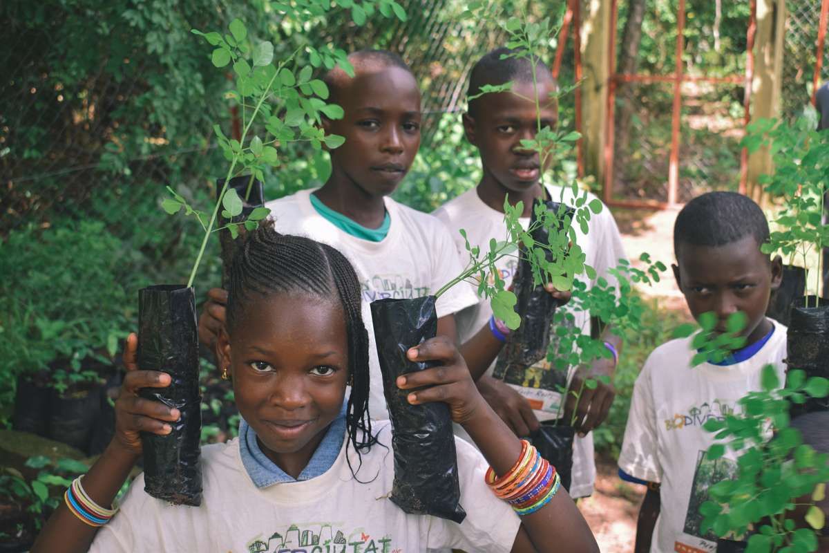 Permettons à des jeunes écoliers de planter 1 000 arbres en Tanzanie !