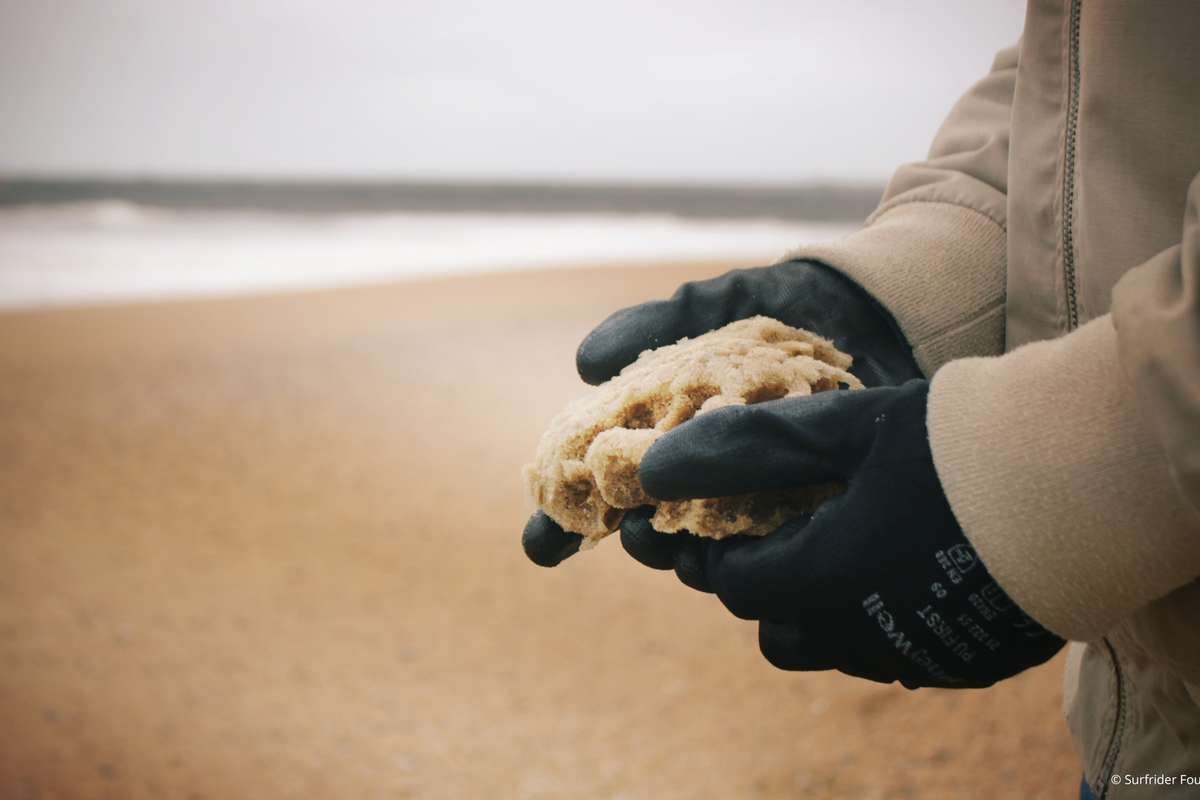 Nettoyons 35 000m² de plage et sensibilisons les français au sujet des déchets !