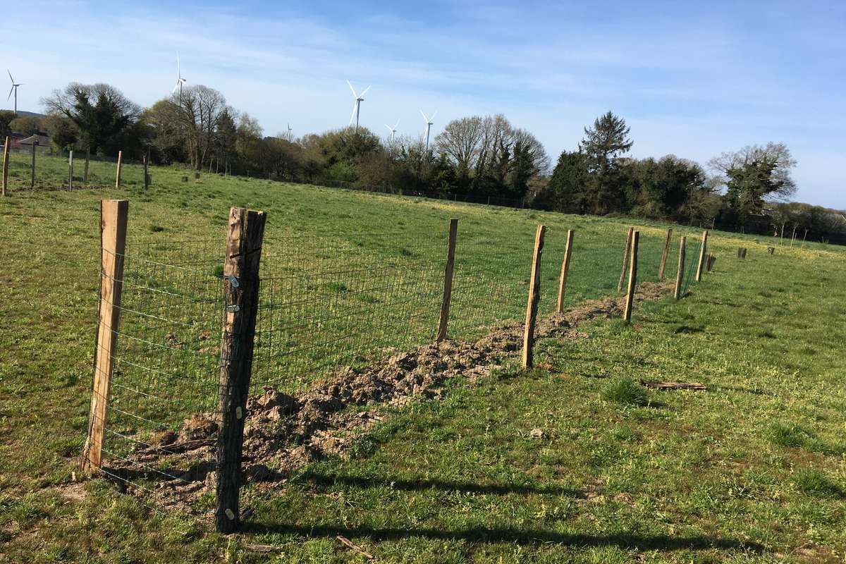 Restaurons le paysage bocager des campagnes bretonnes en accompagnant 2 fermes à planter 500 arbres !