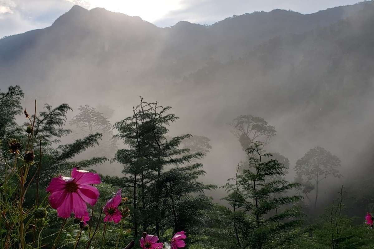 Préservons la biodiversité en Colombie grâce à une production du café plus durable !