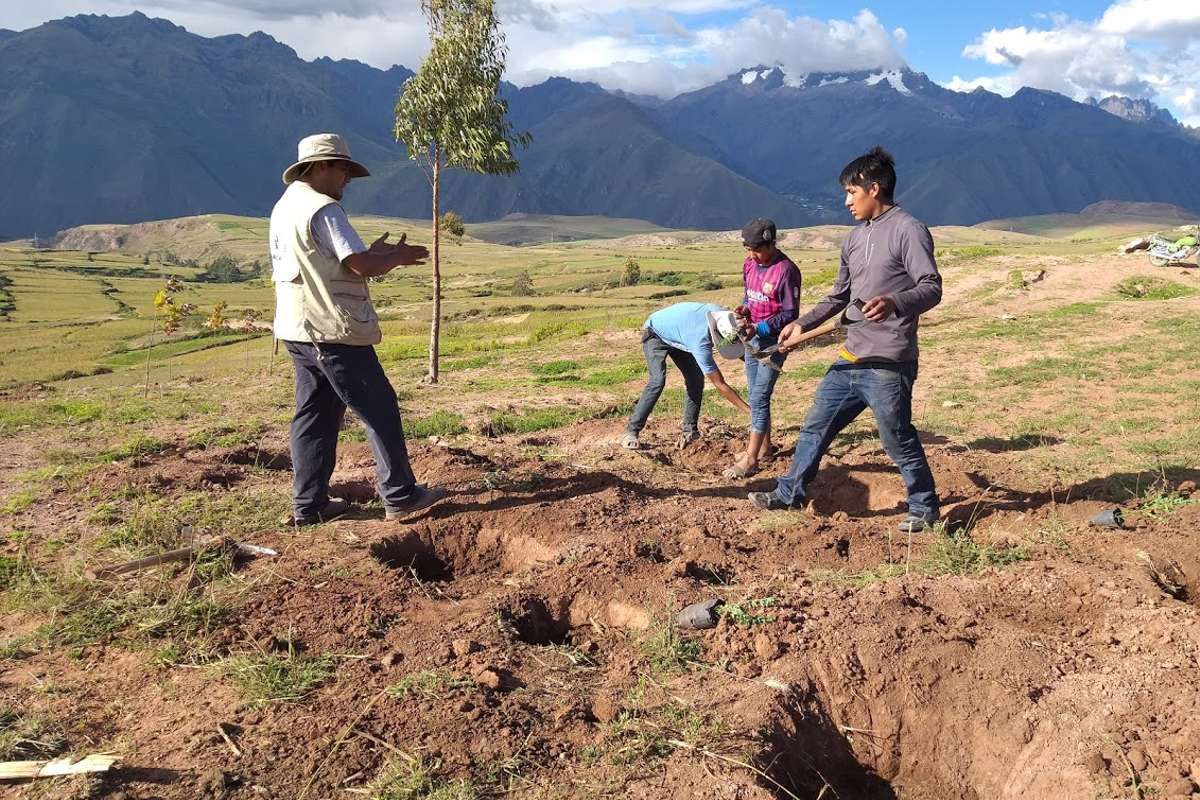 Formons 250 jeunes Quechua à l'agroforesterie via la plantation de 6000 arbres !