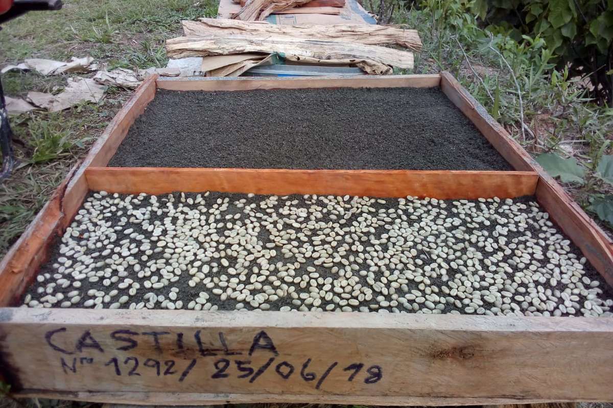 Développons des filières de commerce équitable pour 50 producteurs boliviens !