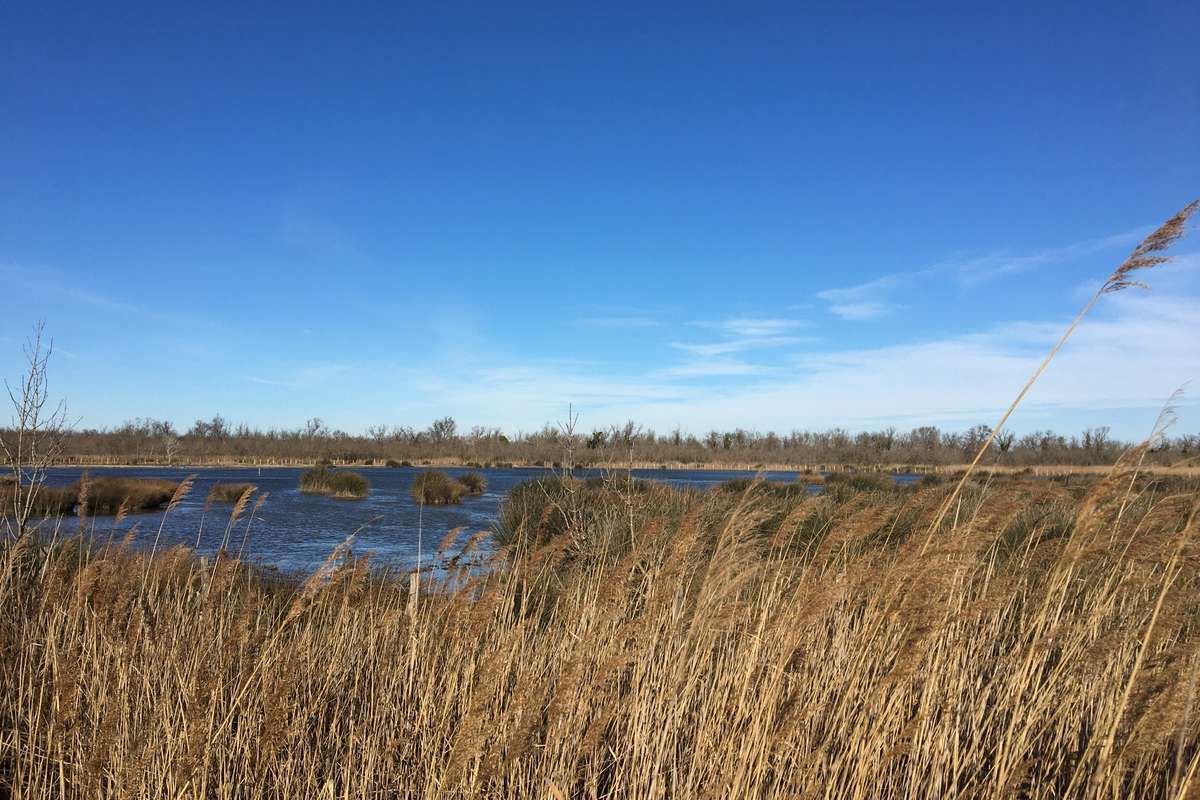 Créons un chemin pédagogique sur la relation entre l’Homme et la Nature au sein d'une réserve en Camargue !