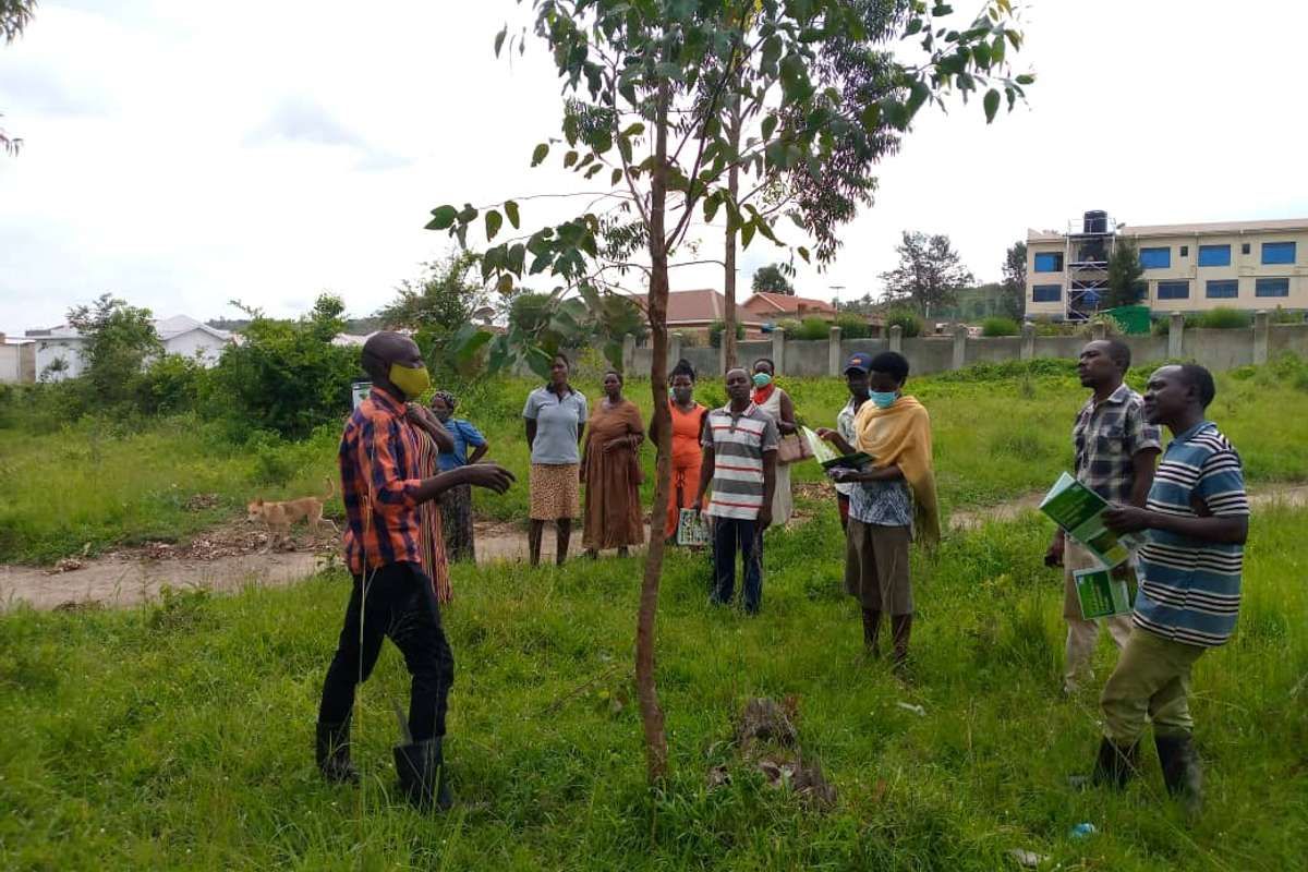 Soutenons la reforestation en Ouganda !