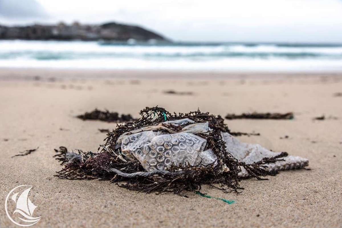 3 semaines d'expédition pour le Kraken : un navire à mission écologique !