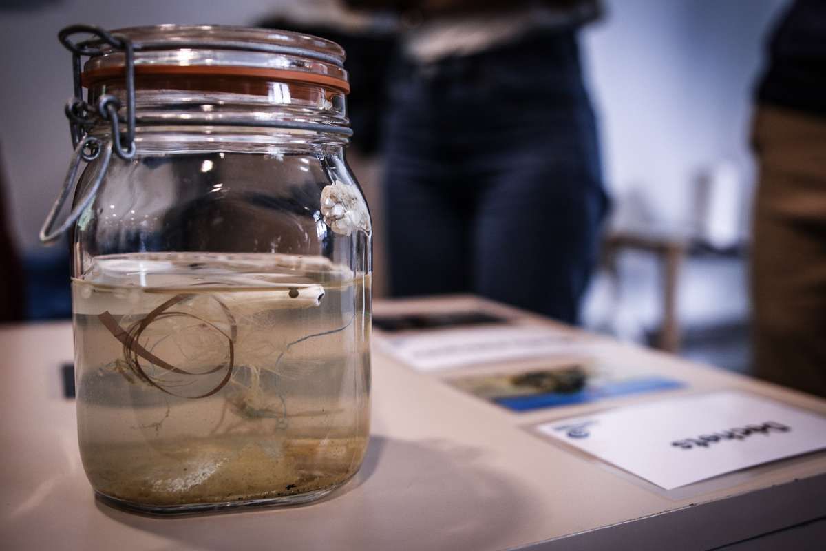 Faisons voyager une exposition photo pour sensibiliser le public aux conséquences des microplastiques !