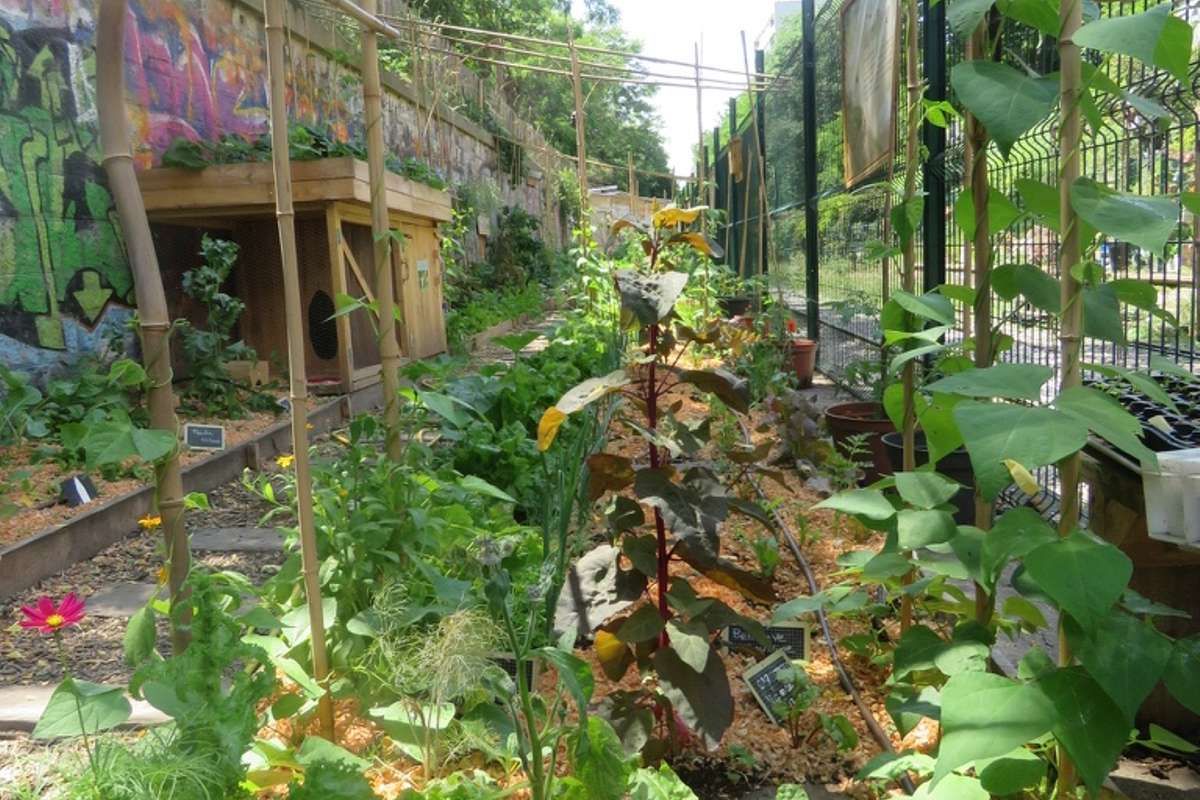 Un récupérateur d’eau de pluie à la REcyclerie de Paris !