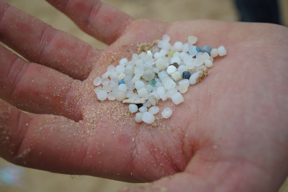 Faisons voyager une exposition photo pour sensibiliser le public aux conséquences des microplastiques !
