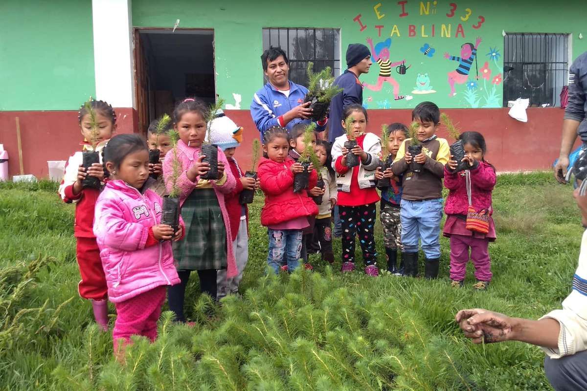 Formons 250 jeunes Quechua à l'agroforesterie via la plantation de 6000 arbres !