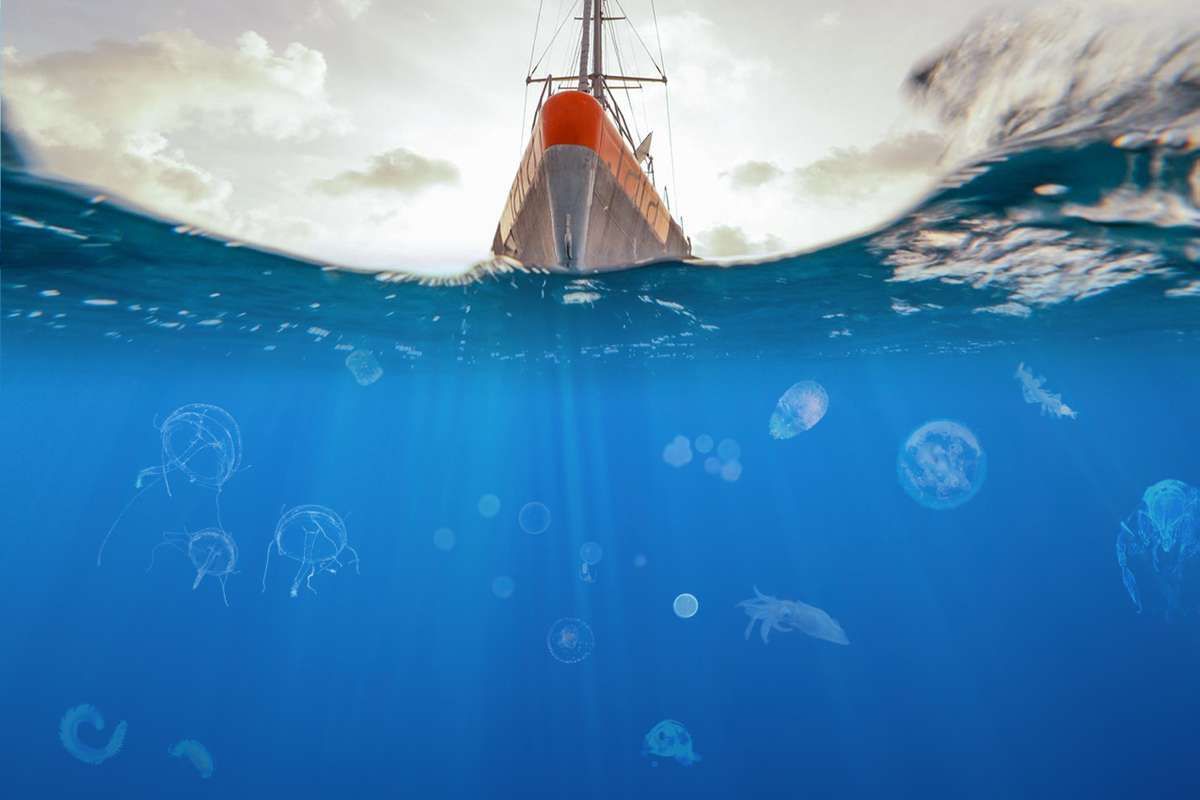 Luttons contre la pollution de l'Océan grâce à l'expédition de 5 scientifiques !